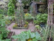 vegetable garden, foodscaping