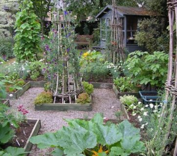 vegetable garden, foodscaping